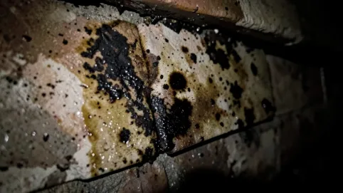 Mokry komin co robić